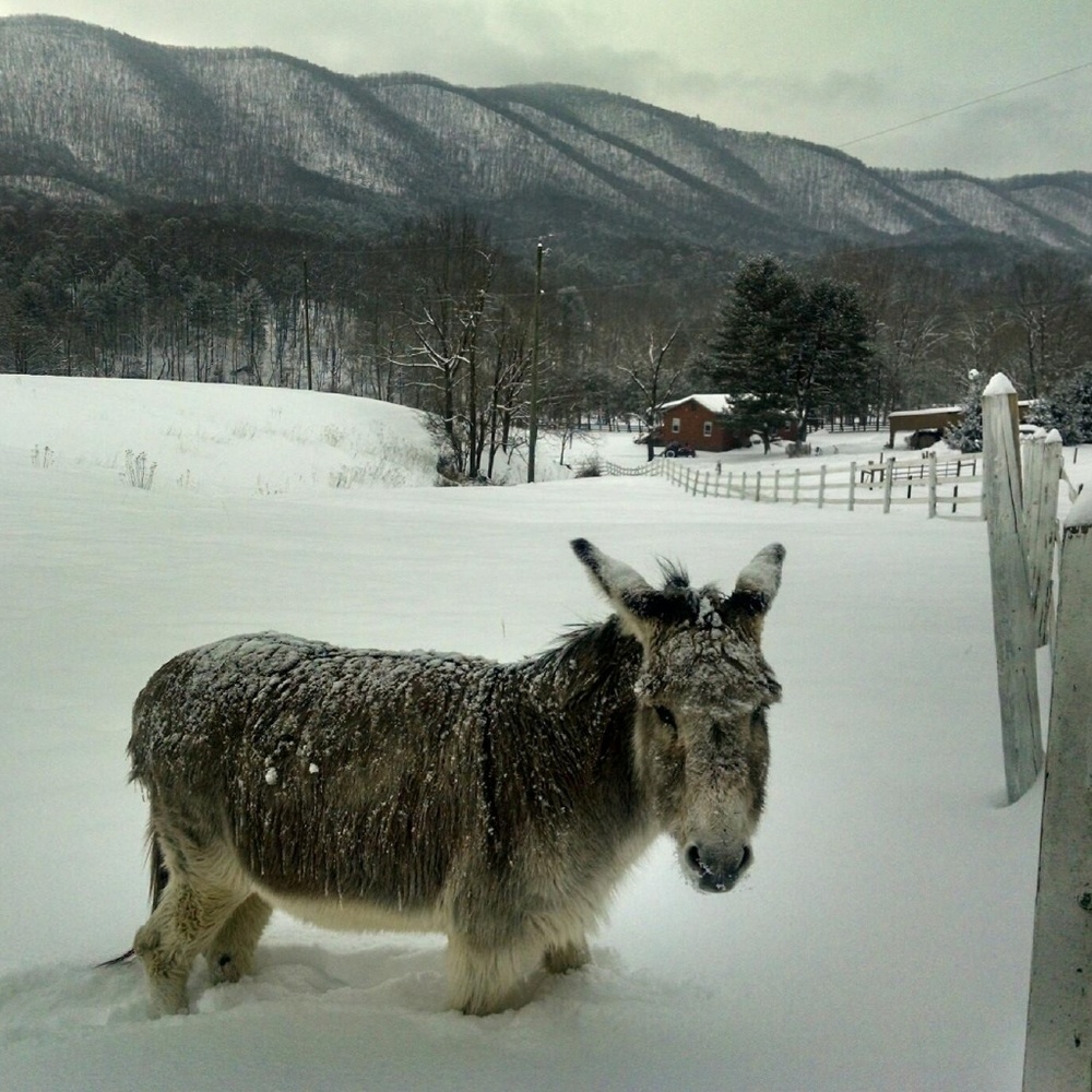 Meet your Posher, Becky